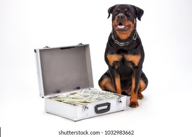 I Novelty DOBERMAN DOG MILLION DOLLAR BILL FAKE-MONEY Collectible