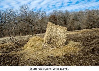 A large round bale of hay sits next to the feeder ring. The metal ring will be rolled over the hay bale so the cattle can feed. Blue and white sky adds color to the nature scene in Missouri. - Powered by Shutterstock