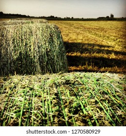 Alfalfa Hay Bales Images Stock Photos Vectors Shutterstock