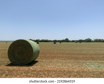 Large Round Hay Bale On Cut Alfalfa Field With Trees In The Background And Pale Blue Sky Above.