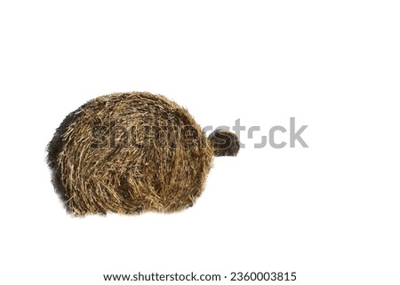 Large round straw roll with blue sky in background
