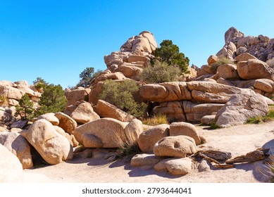Large rounded granite boulders and sparse green shrubs stand under a clear blue sky in Joshua Tree National Park with sandy ground in the foreground.