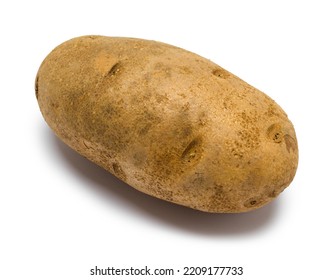 Large Russet Potato Cut Out On White.