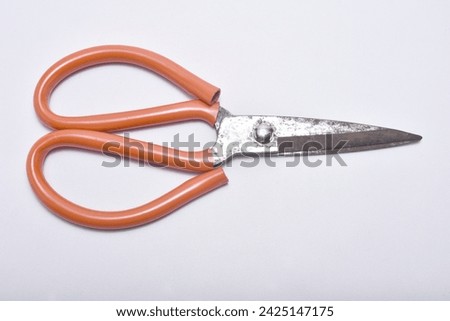 Large rusty scissors, isolated on white background