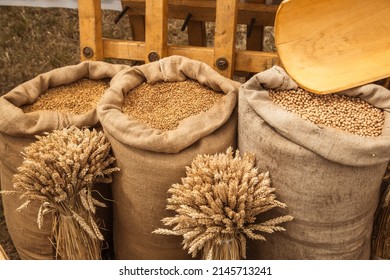 Large Sacks Of Grain. Farm Produce