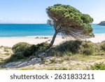 The large sand dune on Bolonia Beach in Cadiz