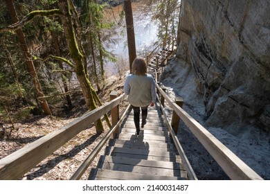 Large Sandstone Cliffs Of Sietiniezis On The Shore Of The River Gauja In Latvia. Tourist Nature Trail For Hiking With Wooden Stairs.