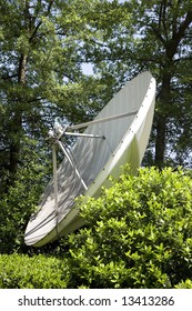 A large satellite dish in a forest setting