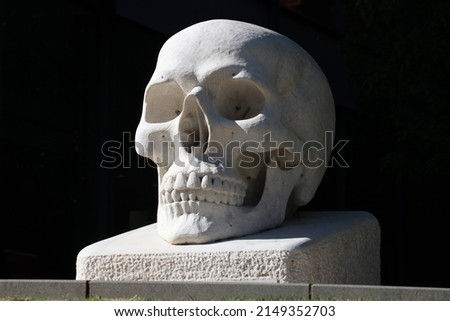 Large Scull Sculpture in a park