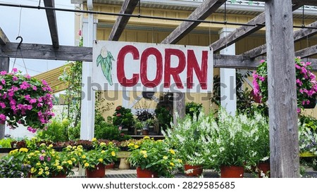 Large sign for corn in a local vegetable market in New Jersey