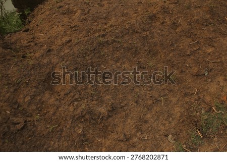 A large sloping mound of raw and coarse brown earth rises near a Santhal community site in Birbhum West Bengal for manual labor and agricultural foundation concepts.