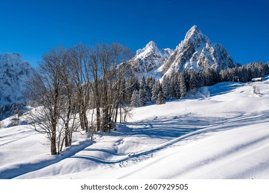 The large and small Mythen mountains photographed on a snowshoe tour at Haggenegg. With a freshly snow-covered landscape and the approaching sunset. Grosser Mythen, Kleiner Mythen, im Kanton Schwyz.