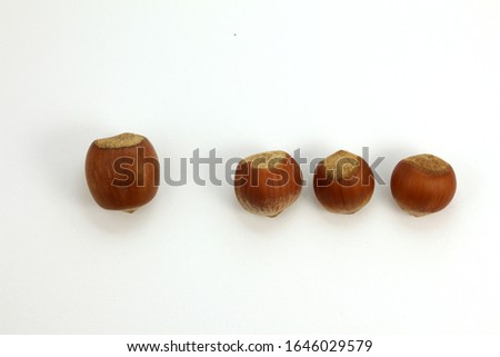 Large and small nuts on a white background