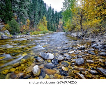 Large and small rocks layer the bottom of a section of the St. Joe River during autumn in north Idaho.