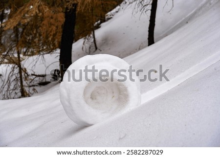 A large snowball moves down a sloping hill covered with fresh snow. 
