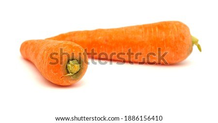 Large soil grown carrots isolated on white background 
