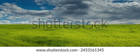 Similar – Image, Stock Photo Flax field in France