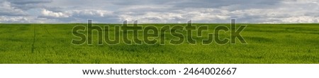 Similar – Image, Stock Photo Flax field in France