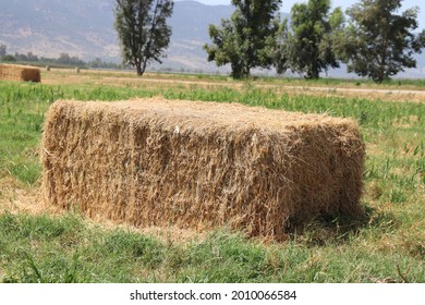 Large Square Bale Of Hay Closeup Agriculture Field Harvest Background