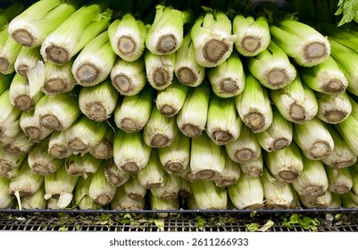 A large stack of celery with their bases pointed forward. They are tightly packed on a metal grate, fresh and green.