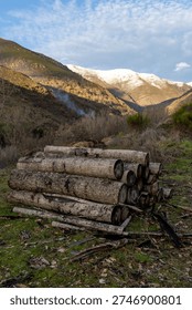 Large stack of cut logs neatly piled outdoors with snow covered mountains in the background. Winter landscape combining forestry and alpine scenery.
