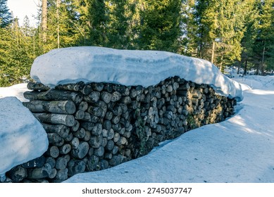 A large stack of cut timber logs is arranged in a forested area during winter, with a thick layer of snow covering the top and sides of the pile. The logs are cut to uniform lengths and placed horizontally, forming a stable wood stack stored outdoors in cold conditions. Snow covers the surrounding ground, and tall evergreen trees create a dense forest backdrop, indicating a remote mountain environment. The scene reflects typical winter conditions in the Bieszczady region of southeastern Poland, where timber is often stored in forest areas before further processing or transport. The image documents the natural setting, the structure of the woodpile, and the impact of winter weather on materials left in the open. It illustrates everyday forestry activity and the presence of timber resources in a rugged mountain landscape.