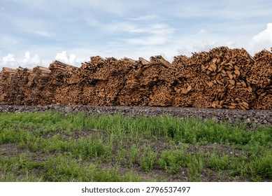A large stack of cut timber logs is arranged neatly in a field. The logs are brown and show natural wood textures. Green grass grows at the base of the stack.