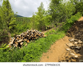 A large stack of freshly cut firewood logs piled next to a rustic dirt road on a forested mountain slope under a blue sky with white clouds.
