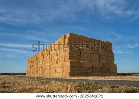 A large stack of hay bales in a field under a clear blue sky. The bales are neatly arranged and sit next to a path, with crops in the background.