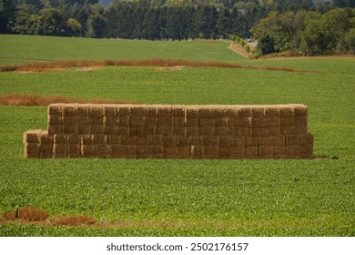 A large stack of hay bales in a lush green field surrounded by trees.