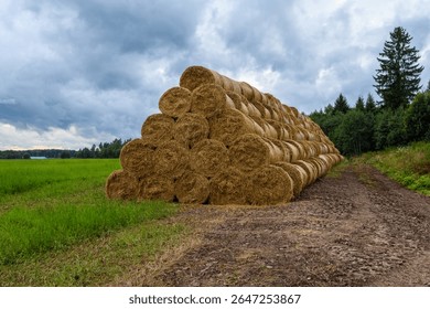 Large stack of hay bales on a field track under a dramatic, cloudy sky, with a lush forest in the background. Captured in Ratva, Estonia, on an evening before a thunderstorm.