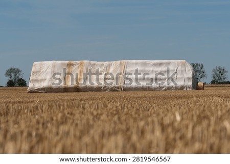 A large stack of hay bales wrapped in white plastic is seen in a dry field. The sun is shining on the golden crops around the bales. Some trees are visible in the background.
