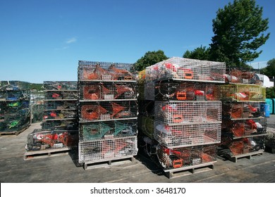 large stack of lobster traps on pier