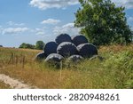 A large stack of round hay bales tightly wrapped in black plastic sits in a dry, sun-drenched field with tall grass and scattered wildflowers under a blue sky with fluffy clouds. A large green tree stands to the right, and a fence runs in the foreground.
