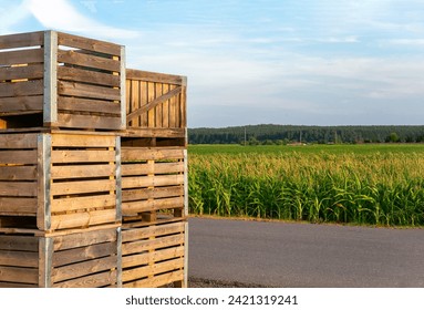 A large stack of wooden boxes for picking corn on a field on a Belarusian farm.