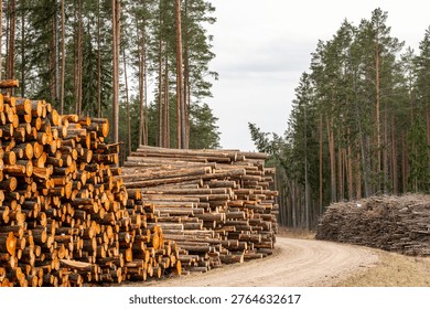 Large stacks of pine logs and piles of forest residues along a curved road, industrial wood harvesting and biomass resource