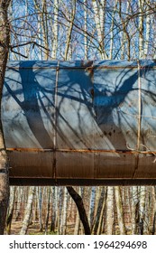 A Large Steel Pipe In The Woods. The Heating Pipeline Running Above The Ground Between The Trees.