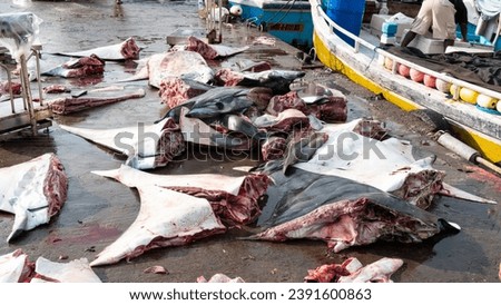 The large stingrays were cut into pieces in the fish market