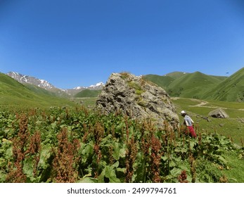 A large stone boulder in the mountain