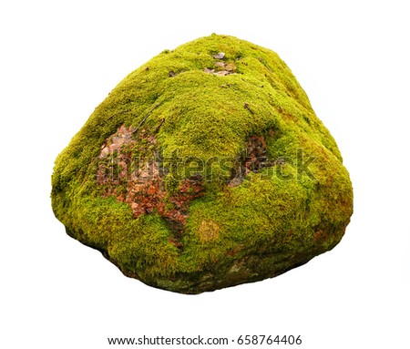 Large stone covered with green moss isolated on white background.