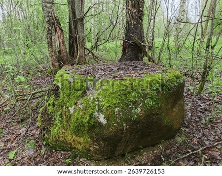 A large stone with a flat top. An ancient altar for sacrifices.