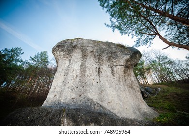 Large stone landscape in the forest