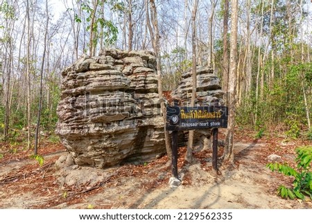 A large stone that resembles a heart therefore it was called dinosaur heart at Phu Wiang National Park Khon Kaen Province, Thailand