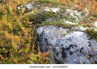 A Large Stone In The Tundra, Overgrown With Grass