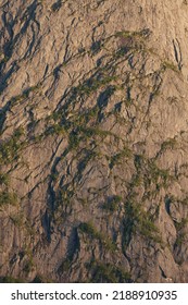 Large Stone Wall With Green Growth Texture During Sunset. 