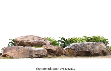 The large stones are on the grass and  Air purifier tree, tropical foliage plants ,isolated on white background.clipping path. - Shutterstock ID 1958382112