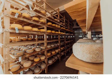 https://image.shutterstock.com/image-photo/large-storehouse-manufactured-cheese-standing-260nw-2270696141.jpg