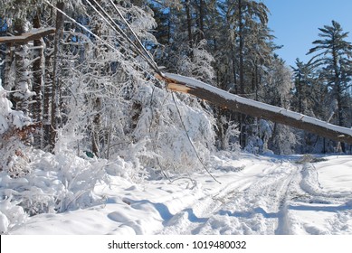 Large storm damage caused by a winter blizzard that went through Massachusetts