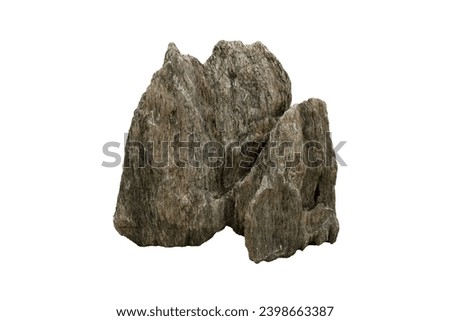 A large strange Calc-Silicate rock stone in Cambro-Ordovician Period isolated on white background. Outdoor garden decoration stones.      