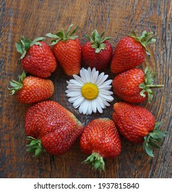  Large strawberries are arranged around a chamomile flower                            